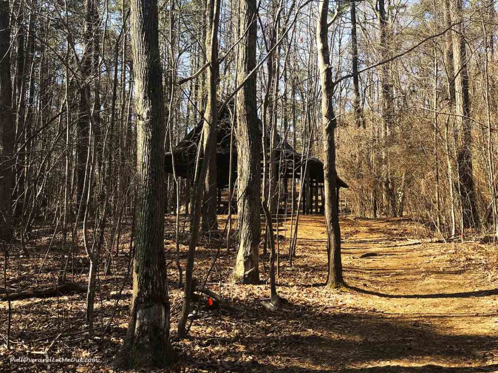 a field classroom structure in the woods