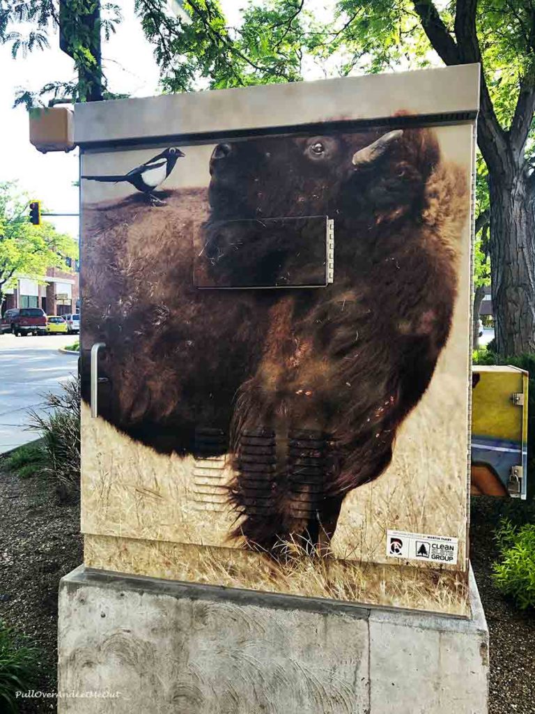 A power box with a buffalo painted on it