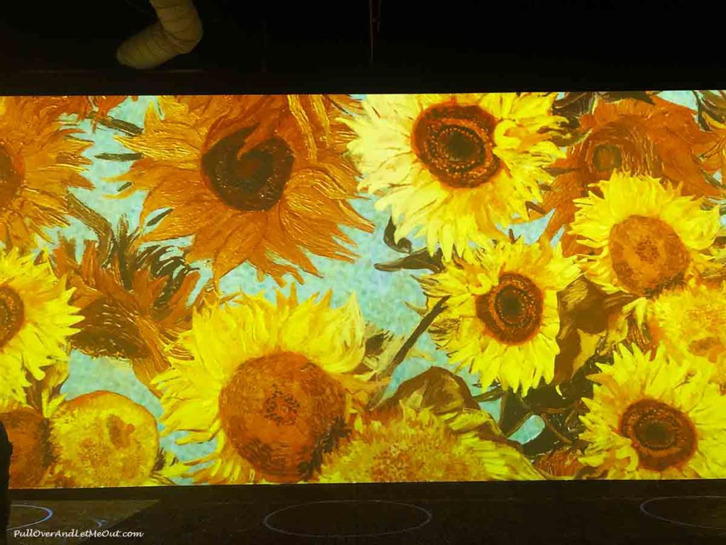 Van Gogh's sunflowers