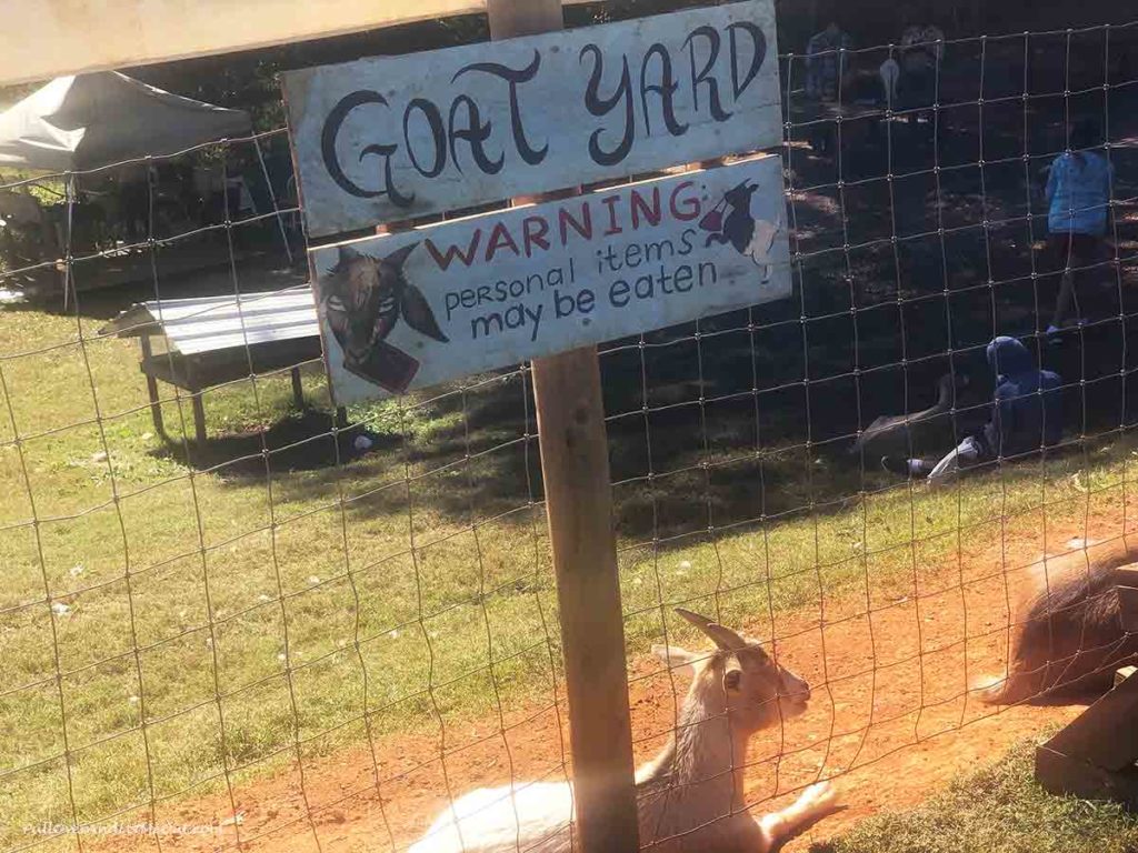 Goat Yard sign at Spring Haven Farm in Chapel Hill NC PullOverAndLetMeOut