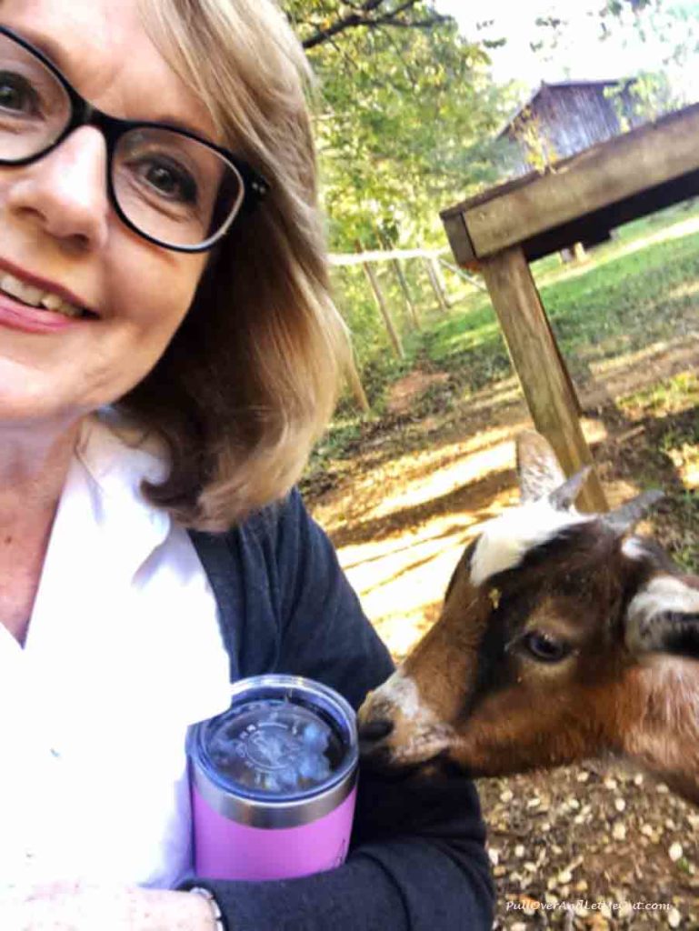 woman taking selfie with a goat