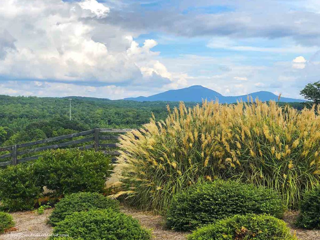 A mountain view in North Georgia