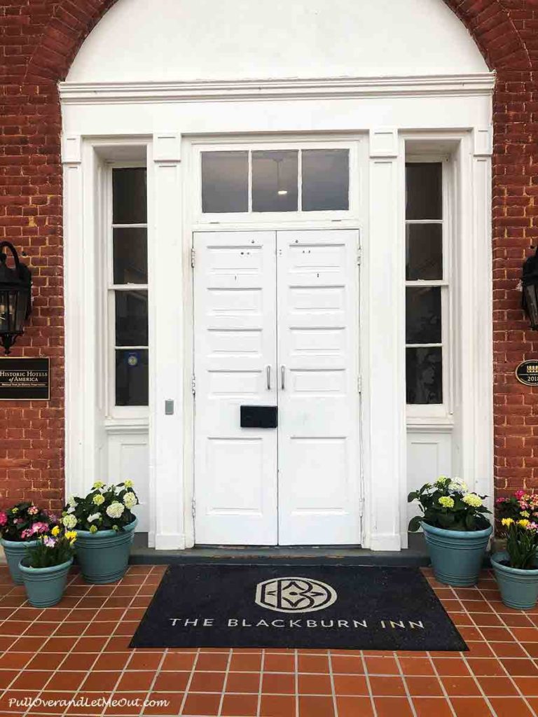 A grand entrance door with flower pots on both sides