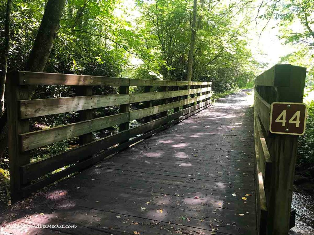 a trestle in the woods