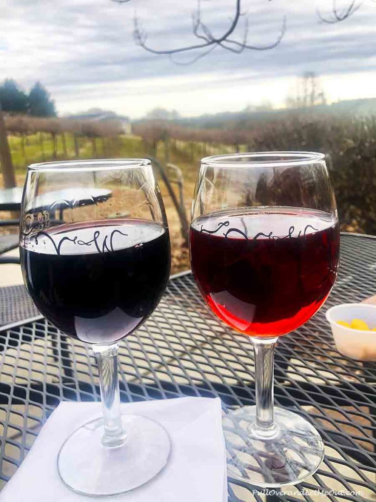 Two glasses of wine in front of a vineyard