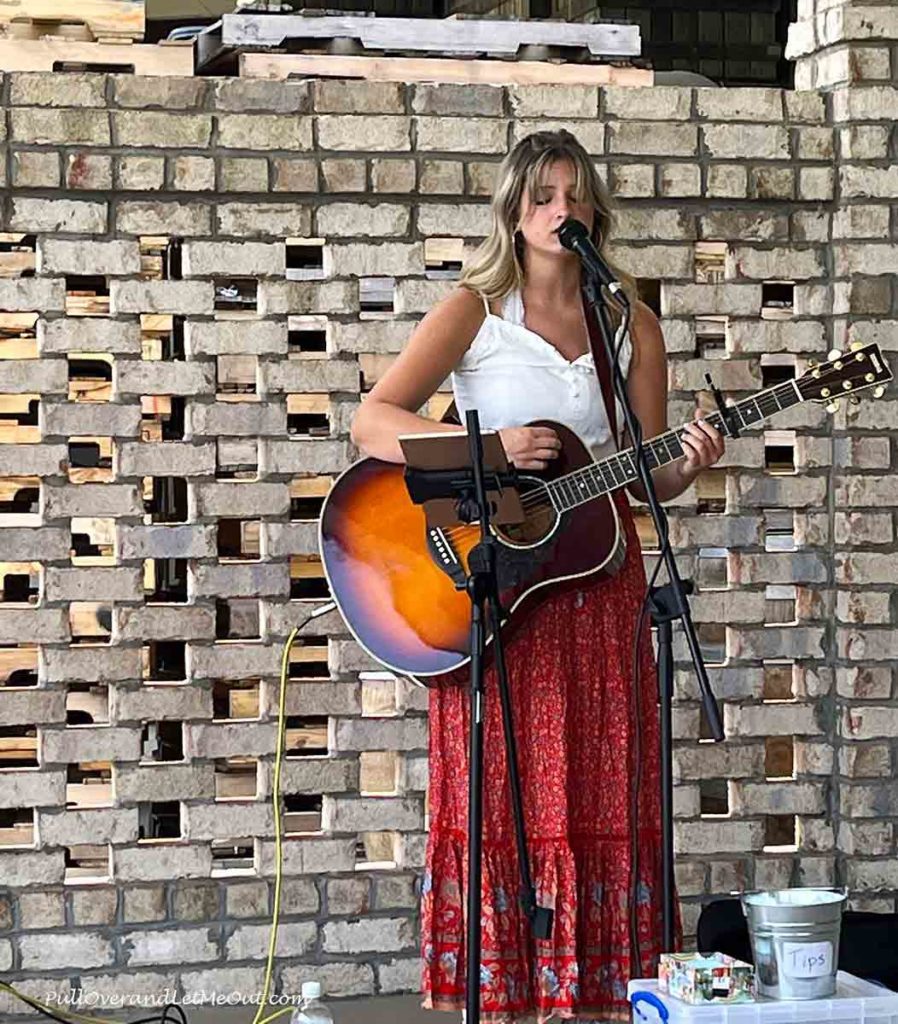 a female musician playing the guitar