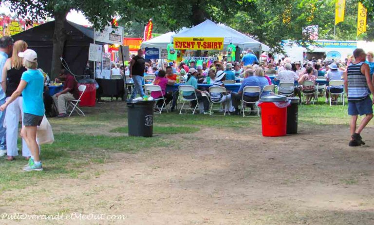 an outdoor festival with tents and people