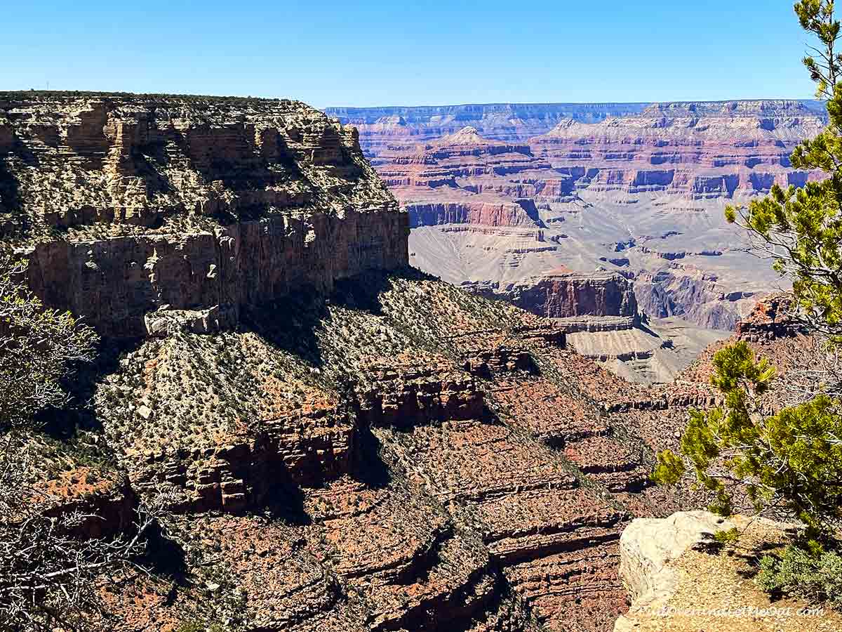 the Grand Canyon