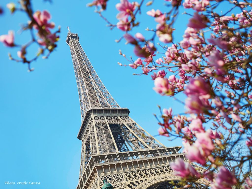 Eiffel Tower with spring flowering tree in front of it