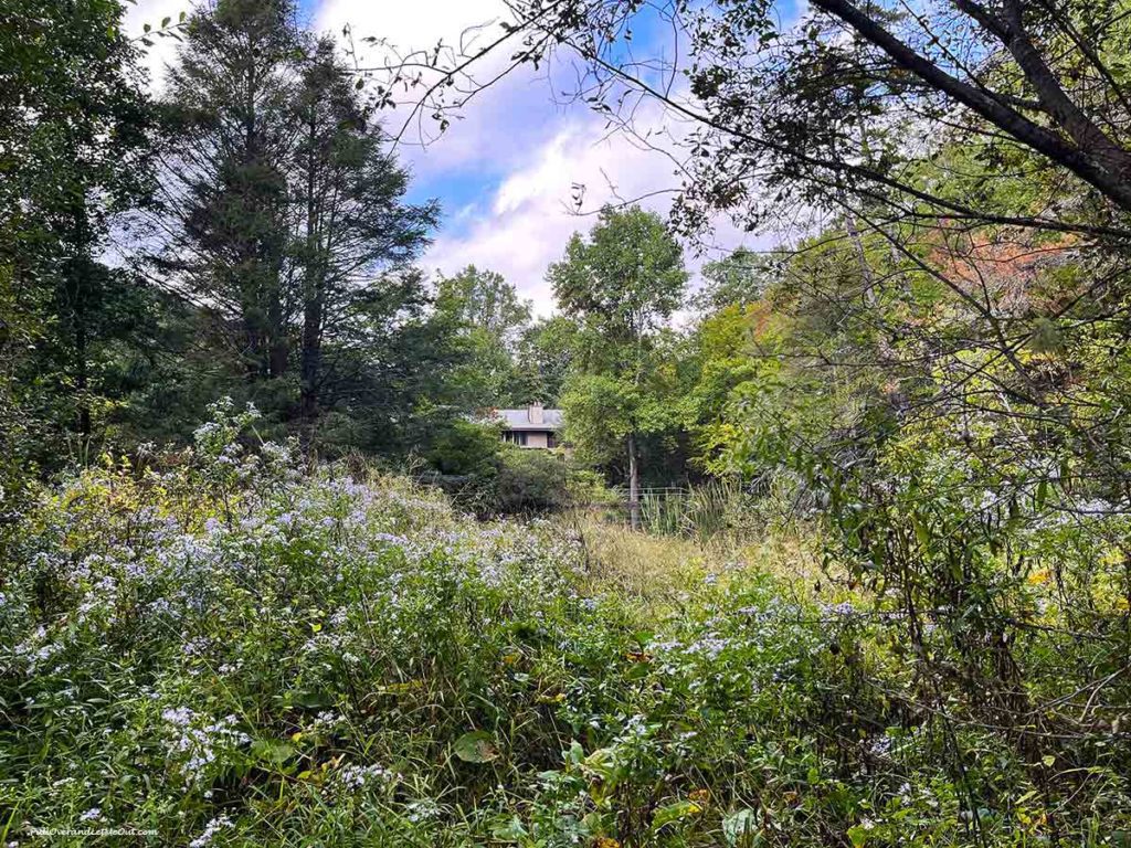 a wooded flower garden in front of a bed and breakfast in the mountains