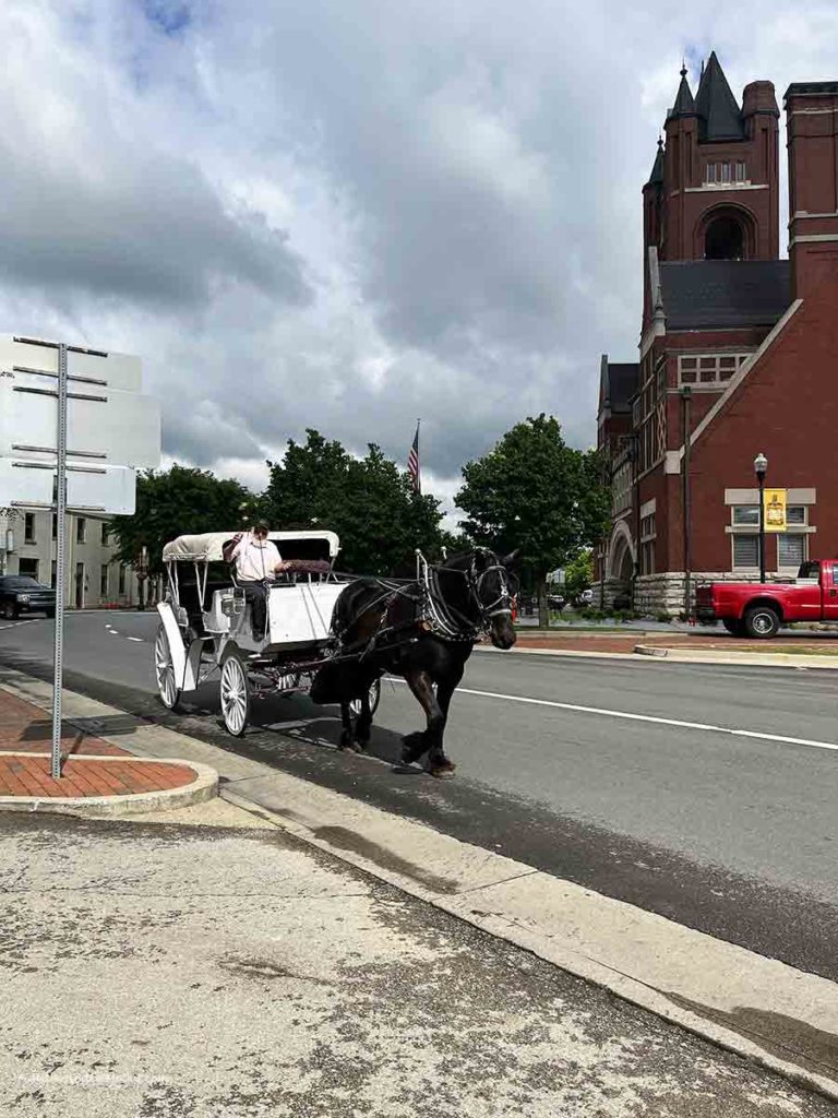 a horse and carriage on a city street