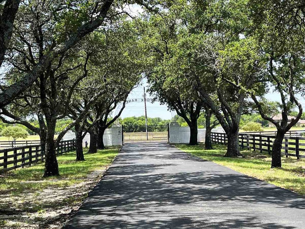 the tree-lined drive at Southfork Ranch from the tv show Dallas