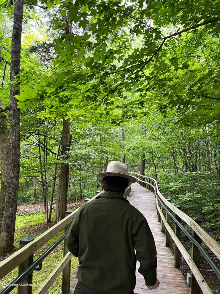 a park ranger leading a group through the woods