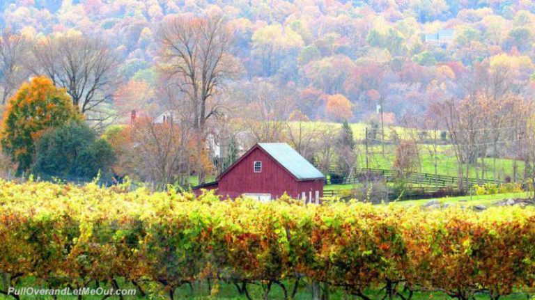 a barn surrounded by colorful fall leaves