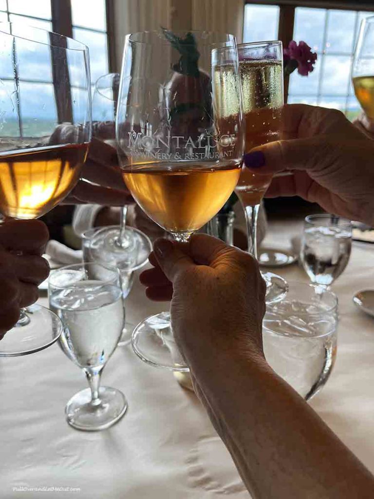 wine glasses clinking together with scenery behind them