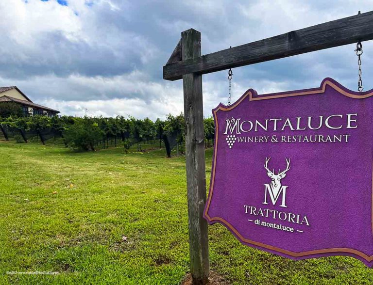 a winery sign in front of vineyards