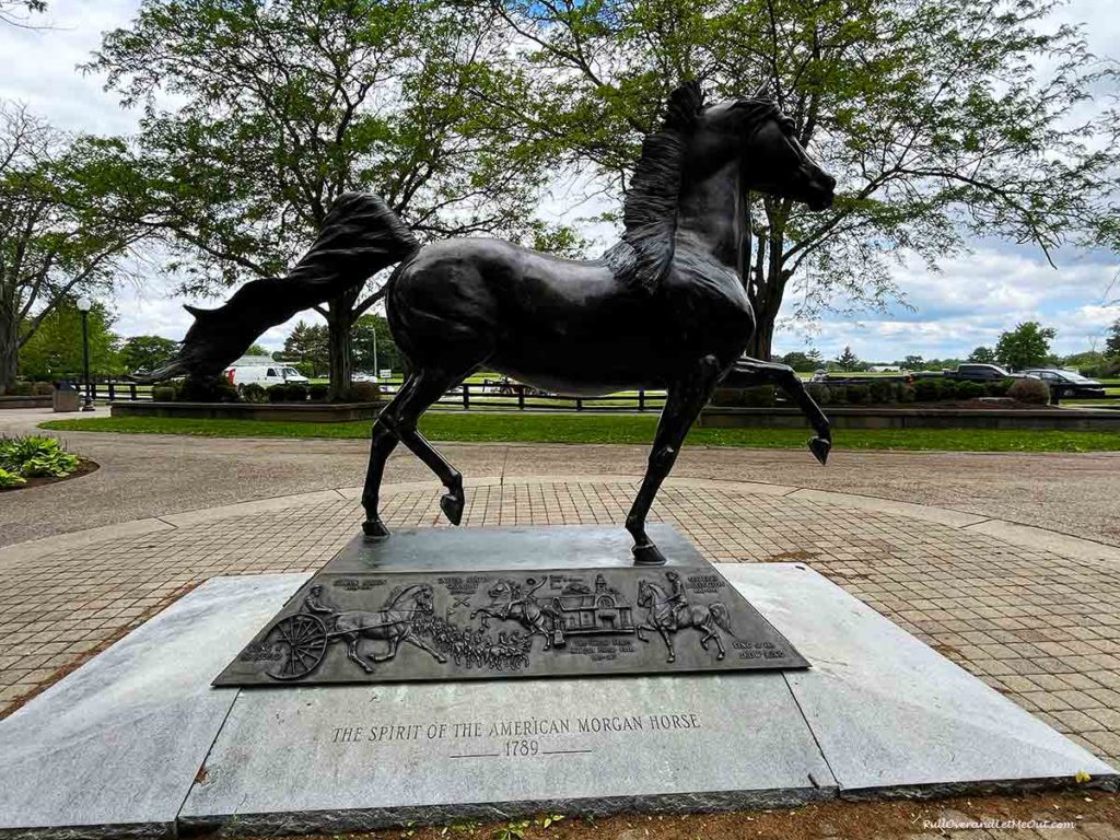 bronze statue of a Morgan Horse