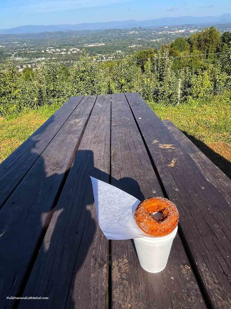 an apple cider donut sitting on top of a cup of cider