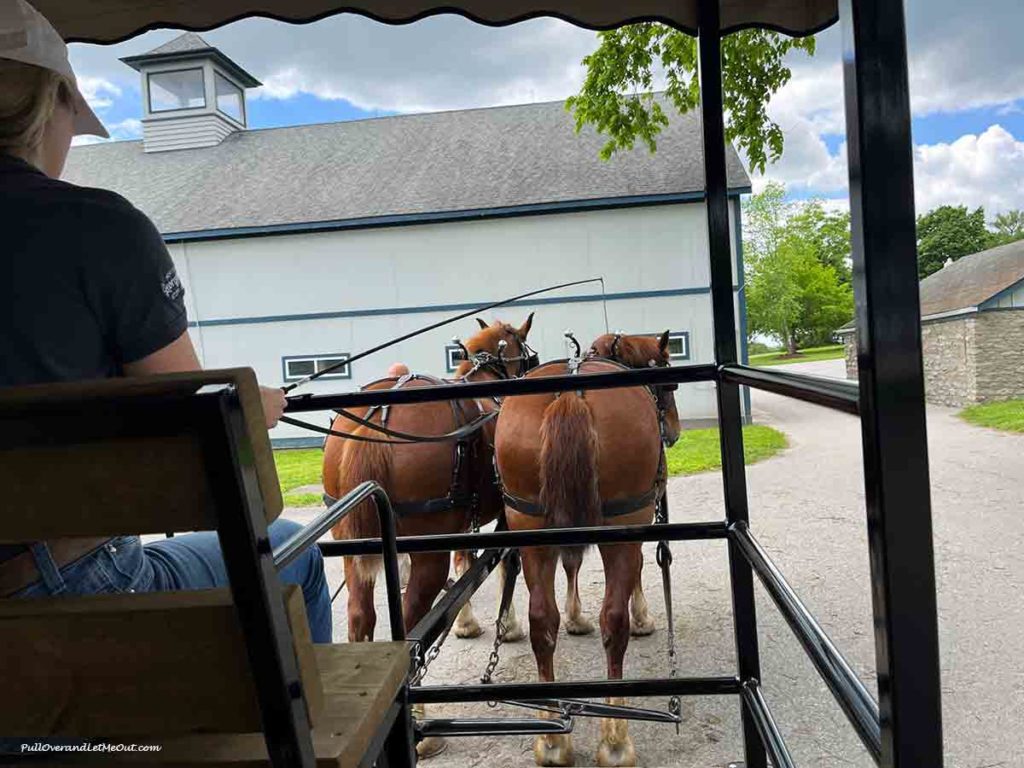 two horses pulling a trolley