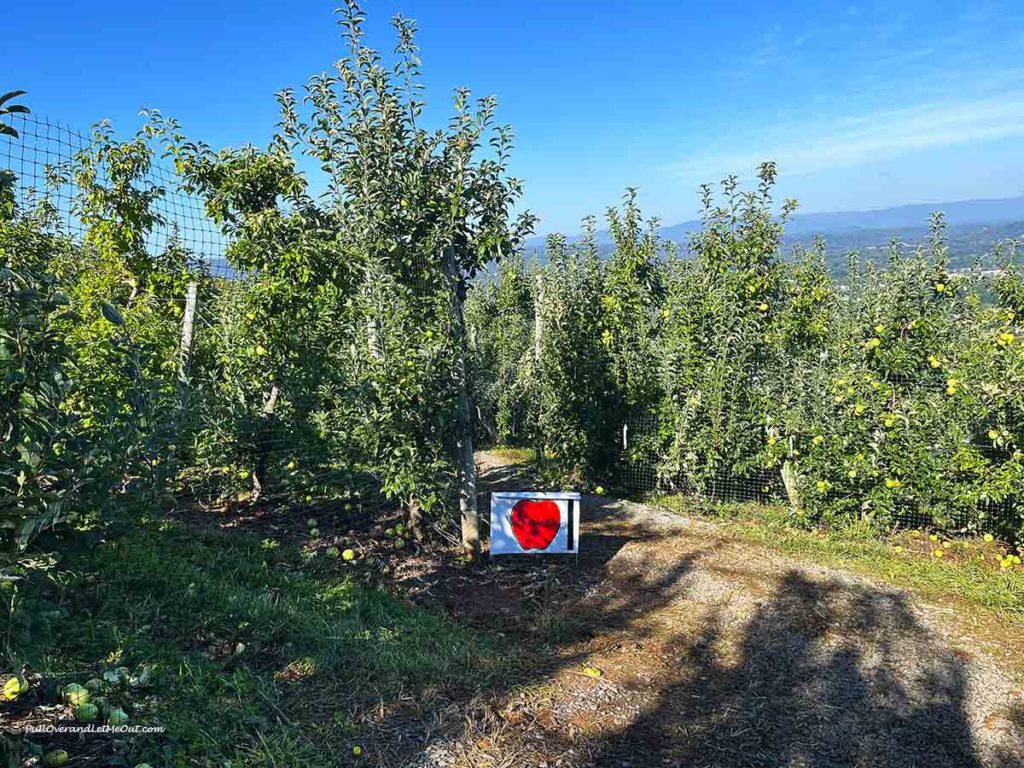 a sign leading to an apple orchard