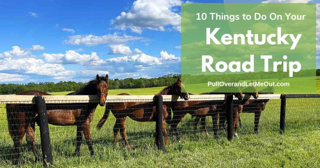 Kentucky road trip cover picture of horses