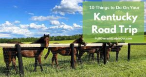 Kentucky road trip cover picture of horses