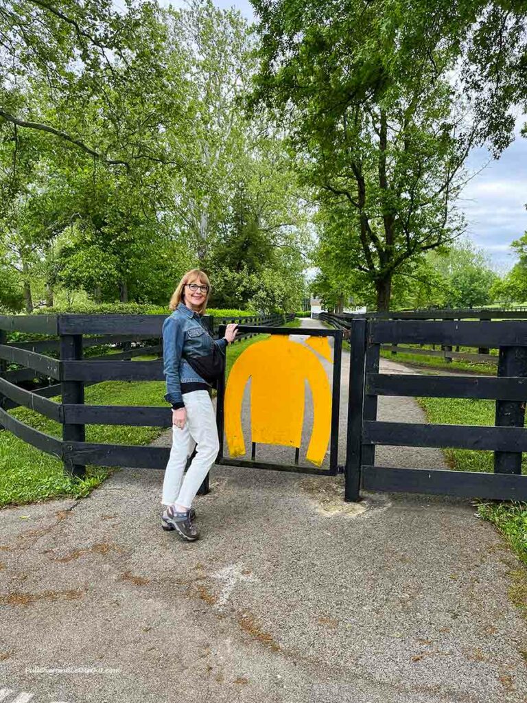 a woman opening a gate that looks like a jockey's silks