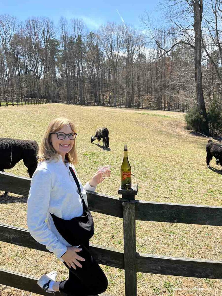 a woman by a fence in front of a llama