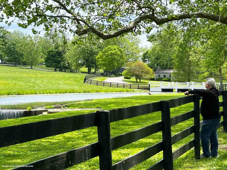a fence and stream at Claiborne Farm in Paris Kentucky