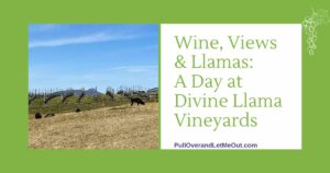 cover photo Divine Llama Vineyards