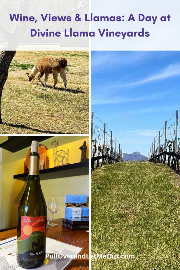 a photo collage for a pin relating to Divine Llama Vineyards