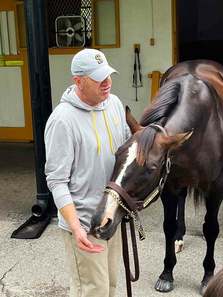 a man with a horse