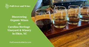 cover picture for a story about wine with a flight of wine