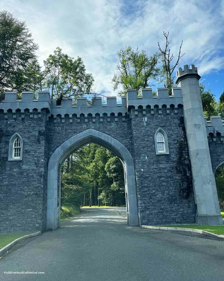 an entry gate to a castle