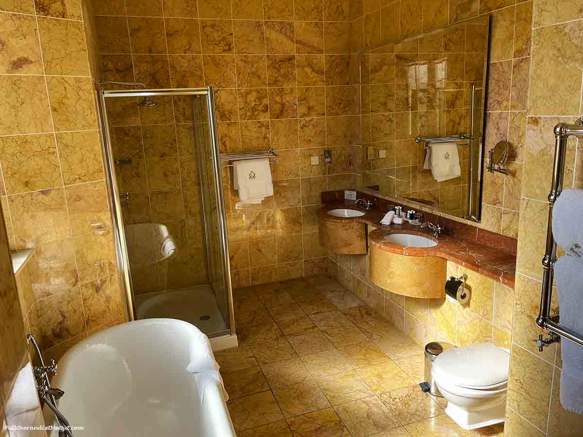 a luxury bathroom