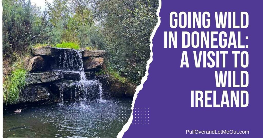 cover photo for story about Wild Ireland in Donegal