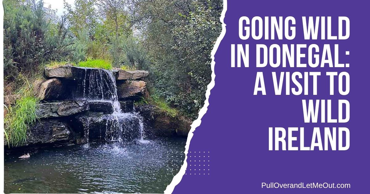 cover photo for story about Wild Ireland in Donegal