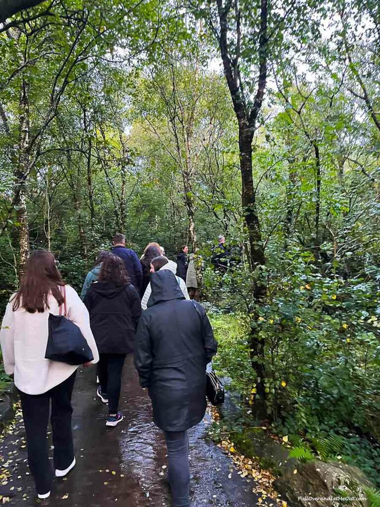 People walking on a trail in the rain in a forest.