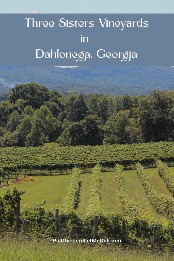 a pin for a winery showing grapes and the mountains