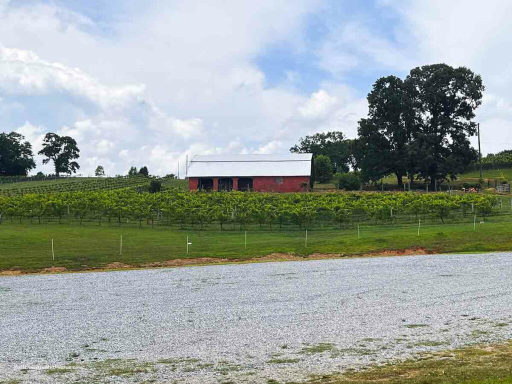 a red barn at a vineyard