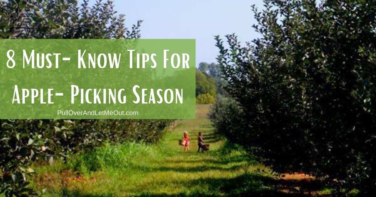 8 Must-Know Tips For Apple-Picking Season PullOverAndLetMeOut.com