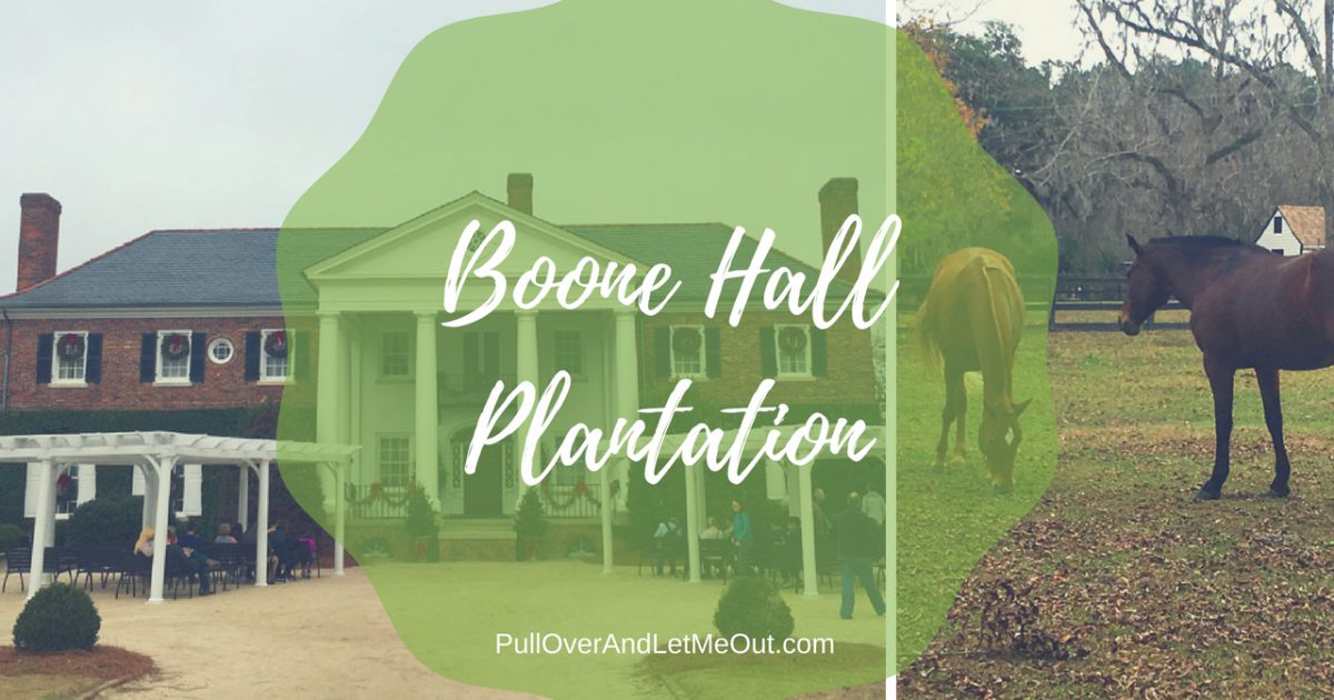 Boone HallPlantation PullOverAndLetMeOut.com