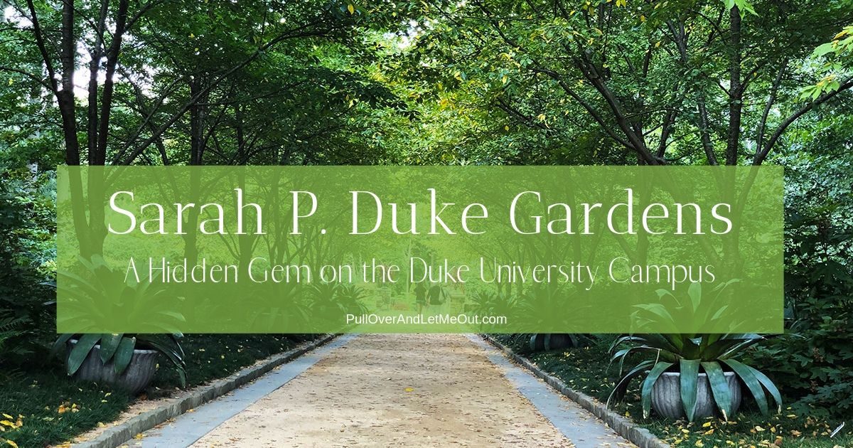 Cover photo for the Sarah P. Duke Gardens PullOverAndLetMeOut