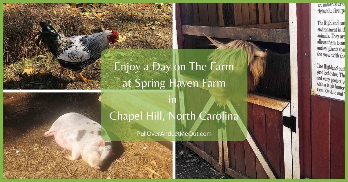 Enjoy a Day on The Farm at Spring Haven Farm in Chapel Hill, North Carolina PullOverAndLetMeOut