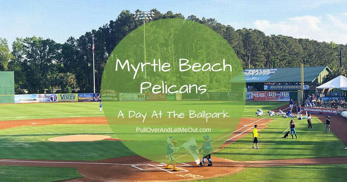 Myrtle Beach Pelicans PullOverAndLetMeOut