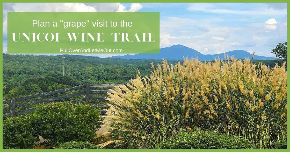 Plan a grape visit to the Unicoi Wine Trail PullOverAndLetMeOut