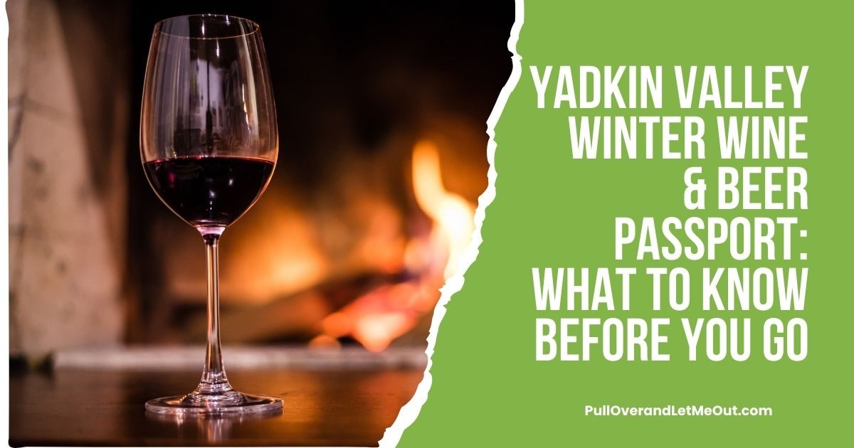 cover picture of a glass of wine in front of a fire